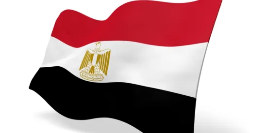 EB-2 NIW Green Card Approval for an Egyptian Real Estate Professional