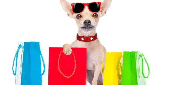 “Pawternity” Leave is Coming!