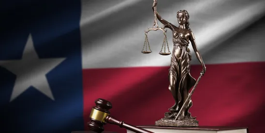 Texas Business Court Dismisses Out-of-State Defendants for Lack of Personal Jurisdiction in Trailer ..