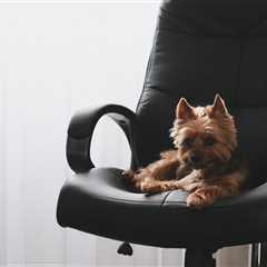 Friday Footnotes: Big 4 Partner Thinks Regulation Is Stupid; KPMGers No Longer Get to Go Home Early ..