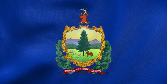 Vermont Makes 23: States with Comprehensive Data Privacy Laws