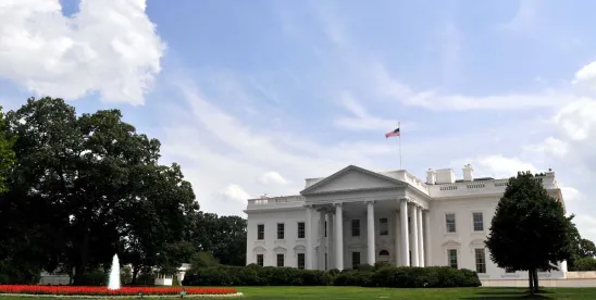 What the New Executive Order on AI and Cybersecurity Means for Your Business
