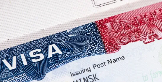 EB-2 NIW Case Study: Exceptional Ability Approval for Software Developer from Peru