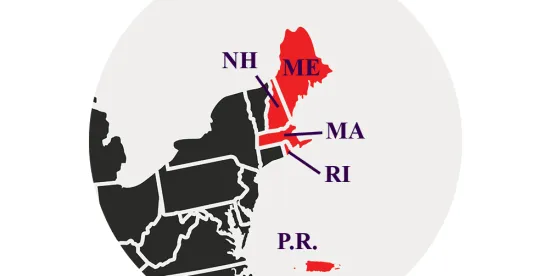 Massachusetts Federal Court Holds Alleged Retaliation for Regulatory Reporting May Support Chapter..