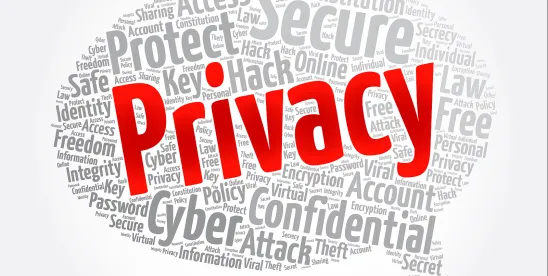 The Privacy Filter: June 2026