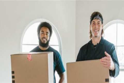 Seamless Relocation with Career Coaching & Mountain Movers