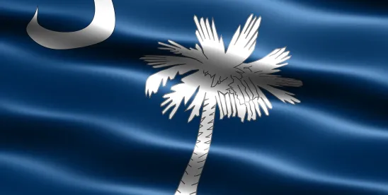 South Carolina’s Audit Obligations Under the Age-Appropriate Design Code Act
