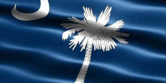 South Carolina Supreme Court Shields Employer After Employee’s Justified Use of Deadly Force