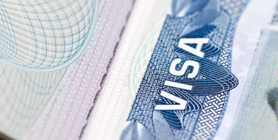 E-2 Visa Case Study: Tech Investor from New Zealand Approved in Under Two Months