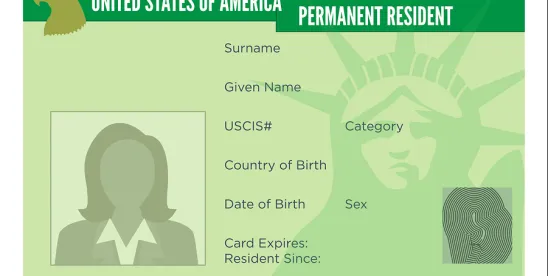 How to Transition from TN Visa to Green Card: A Step-by-Step Guide