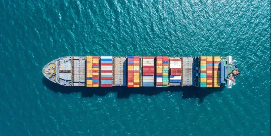 What Every Multinational Should Know About … The New Customs Enforcement Realities (Part II):..