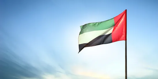 US Extends EAR Enhanced Favourable Treatment to the UAE: Country Group Reclassification,..