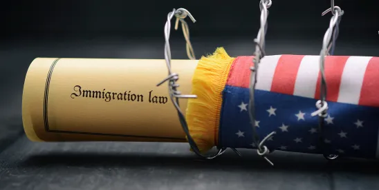 New TPS Placeholder Dates for Multiple Countries Set by Court Order