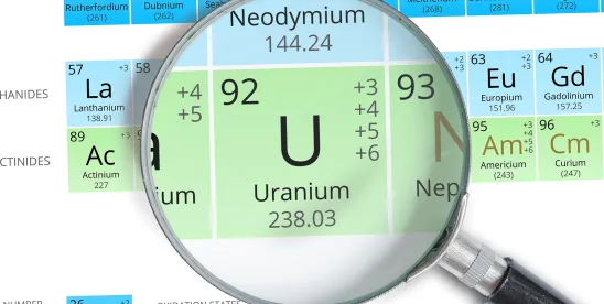 Navigating Nuclear: Updates in New York