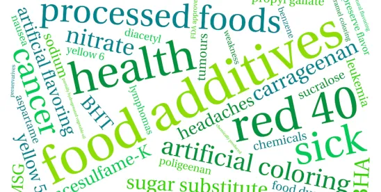 Vermont Targets Kraft Heinz in New Ultra-Processed Foods Investigation