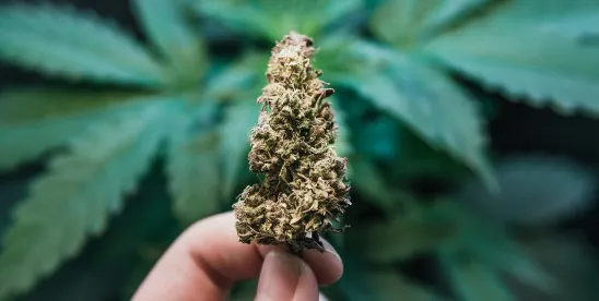 Inside the DEA Marijuana Rescheduling Hearing- The Five Fights That Will Decide the Case