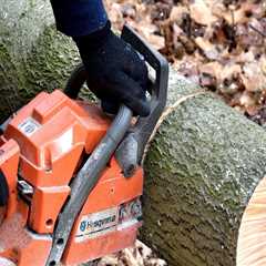 How Tree Service in Wyndmoor Supports Livestock Marketing and Property Care