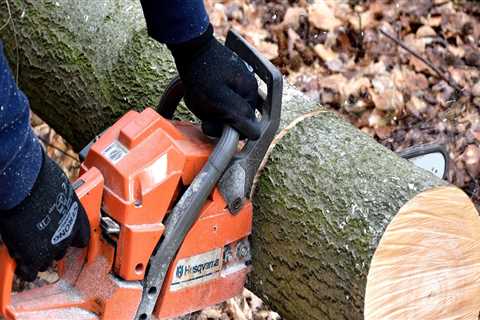 How Tree Service in Wyndmoor Supports Livestock Marketing and Property Care