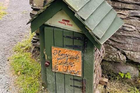 Cake shed owners face HMRC tax bills if unregistered, adviser warns