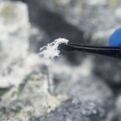 Asbestos Testing &amp; Hazardous Material Assessments - All Island Mold Inspectors
